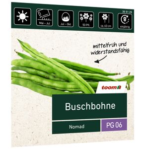 Buschbohne 'Nomad'