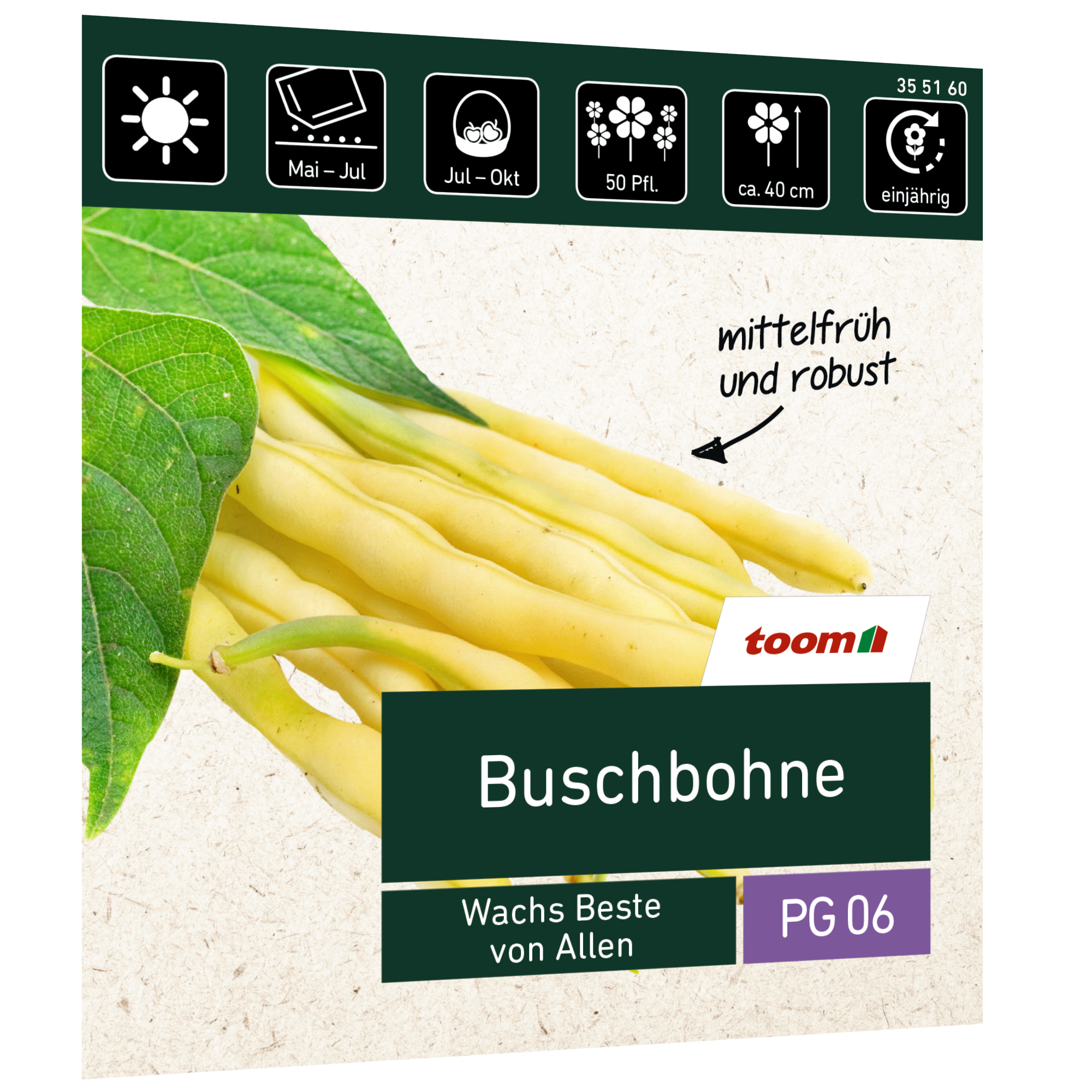 Buschbohne 'Wachs Beste von Allen' + product picture