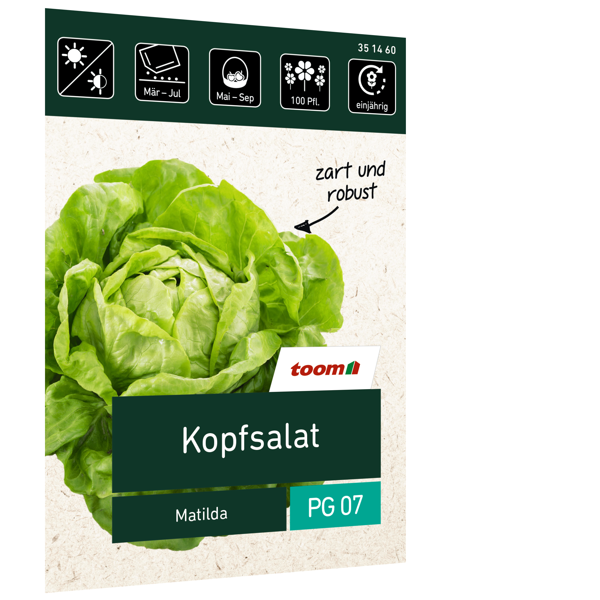Kopfsalat 'Matilda' + product picture