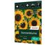 Sonnenblume Soraya, leuchtend und pollenfrei