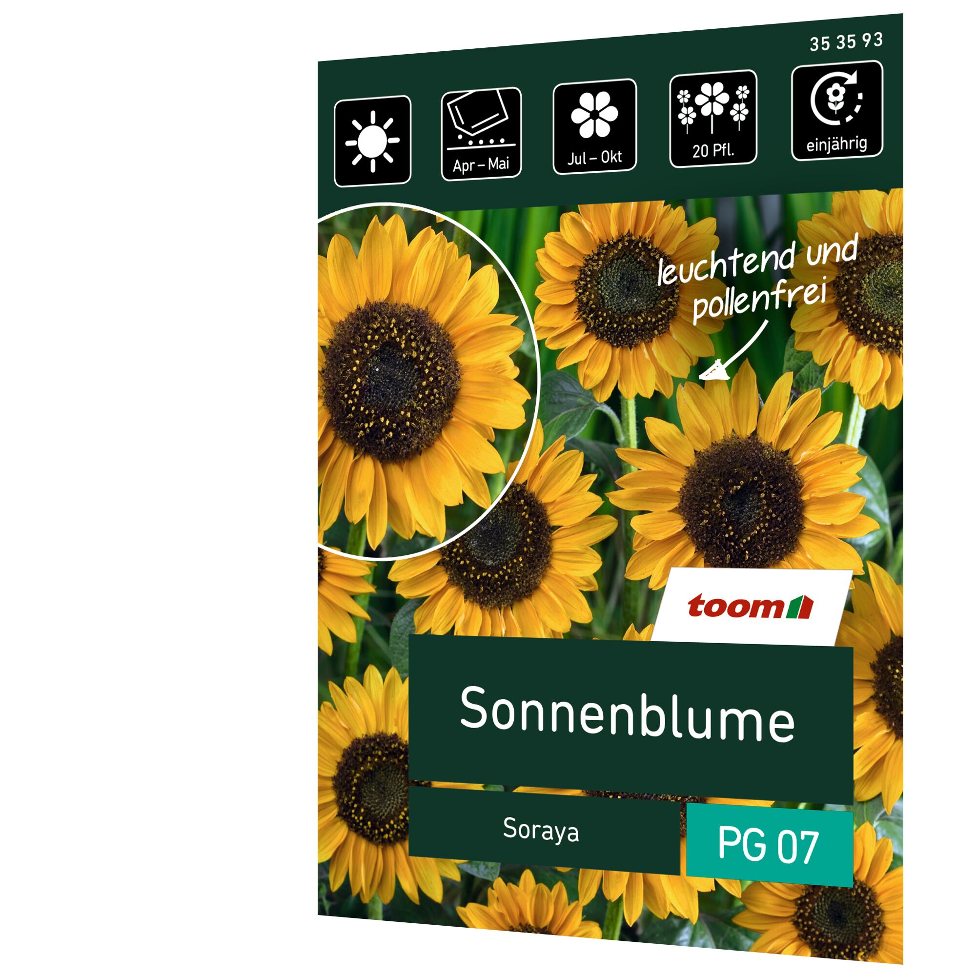 Sonnenblume Soraya, leuchtend und pollenfrei