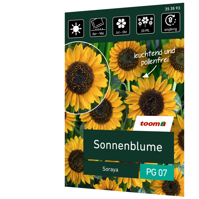 Bild von Sonnenblume 'Soraya'
