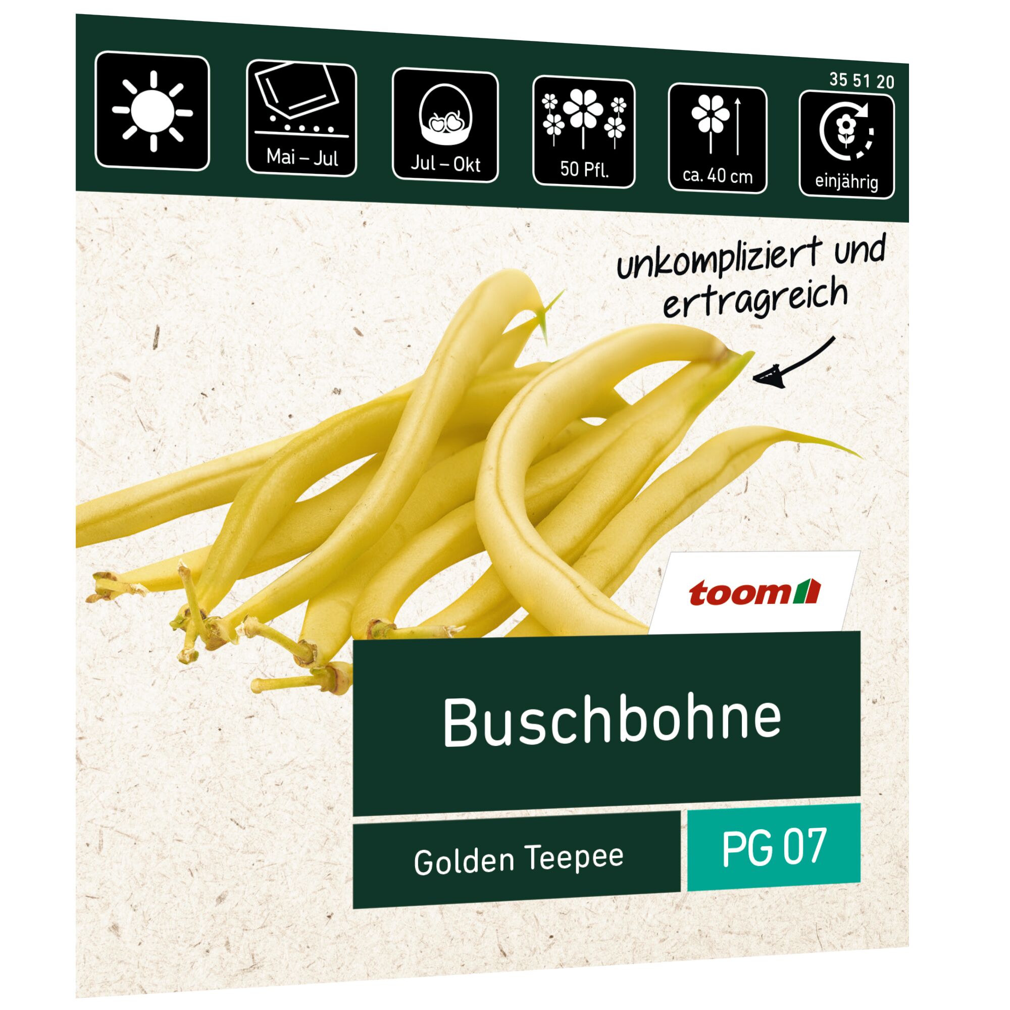 Buschbohnen Golden Teepee