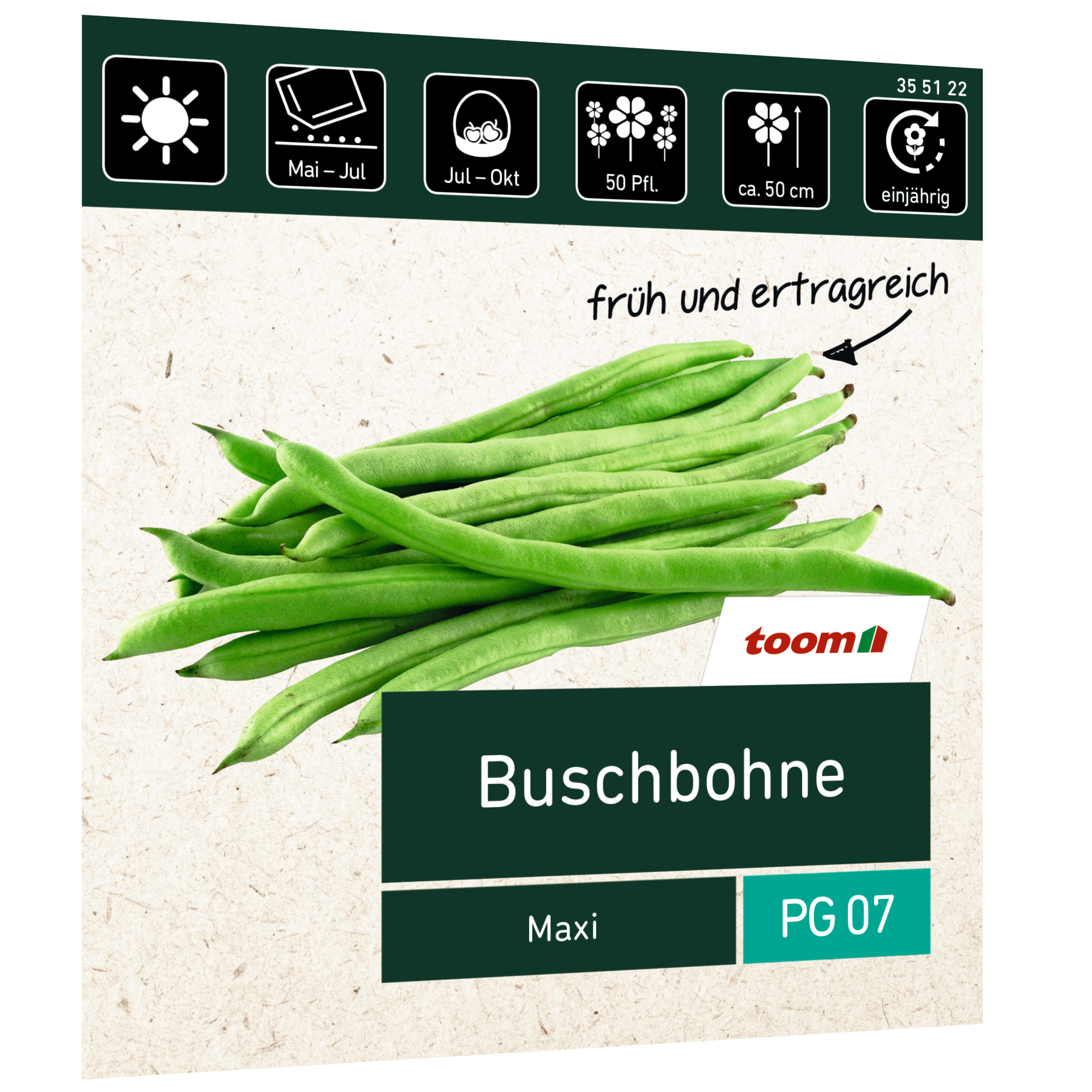 Buschbohne 'Maxi' + product picture