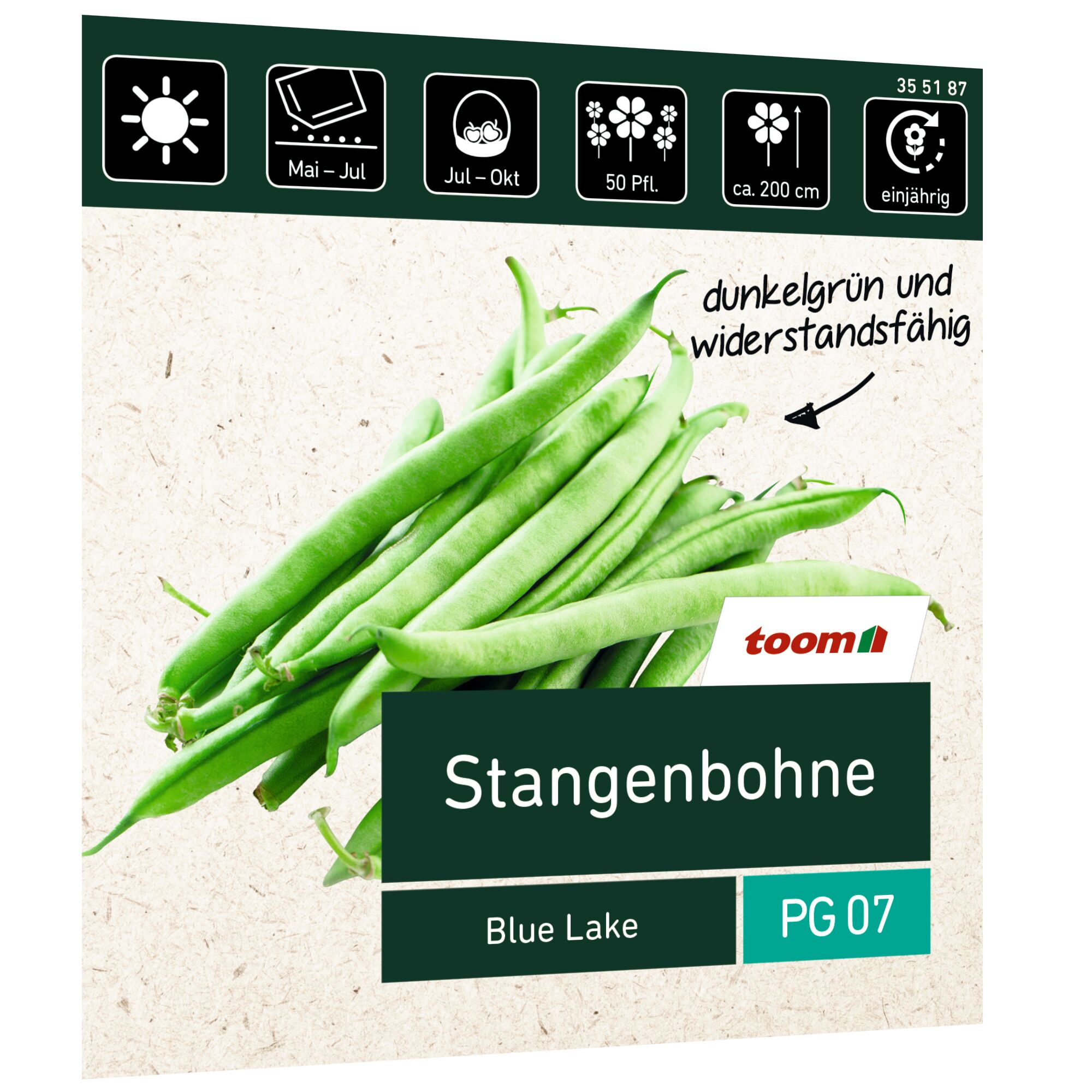 Grüne Stangenbohnen der Sorte Blue Lake