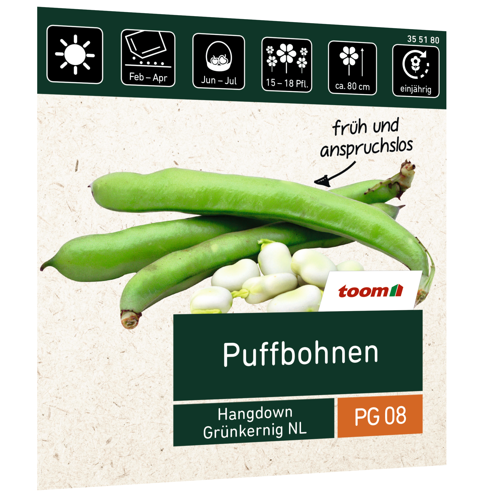 Puffbohnen 'Hangdown Grünkernig NL' + product picture