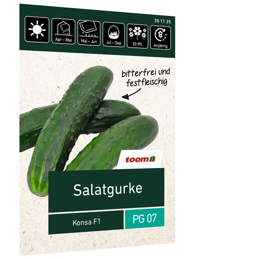 Salatgurke Konsa F1