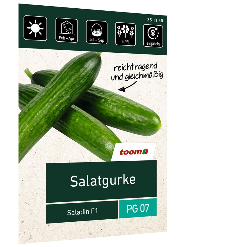 Salatgurke Saladin F1
