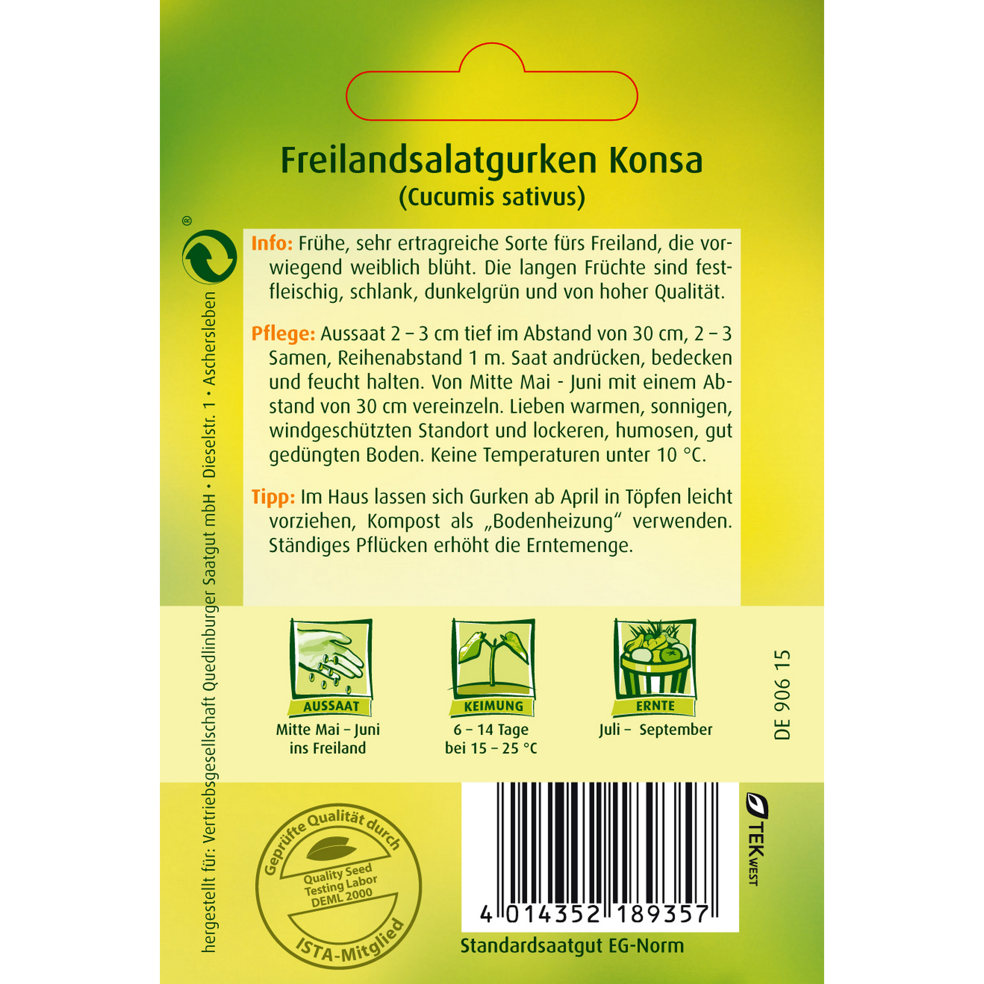 Freilandsalatgurke 'Konsa' + product picture