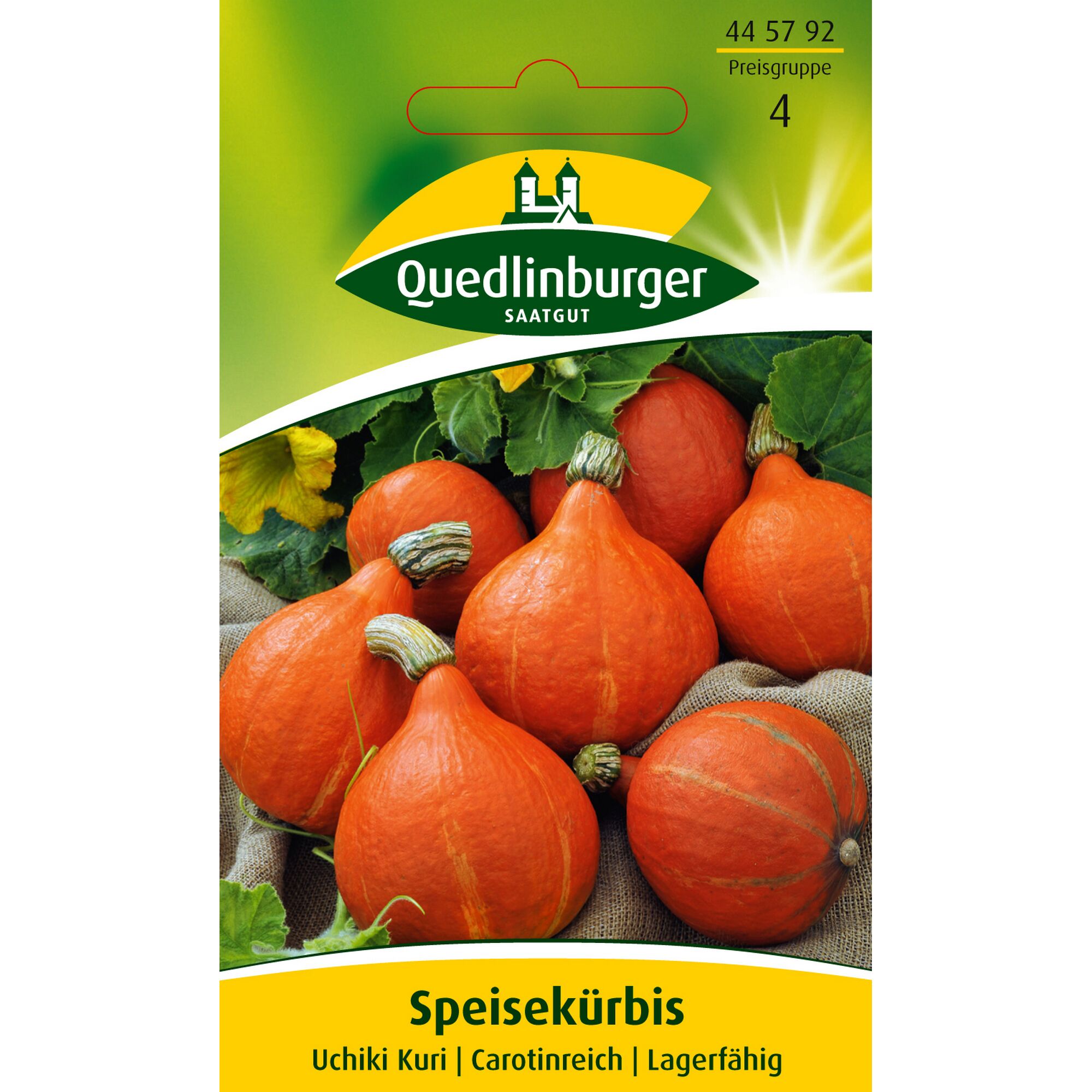 Speisekürbis Uchiki Kuri von Quedlinburger Saatgut