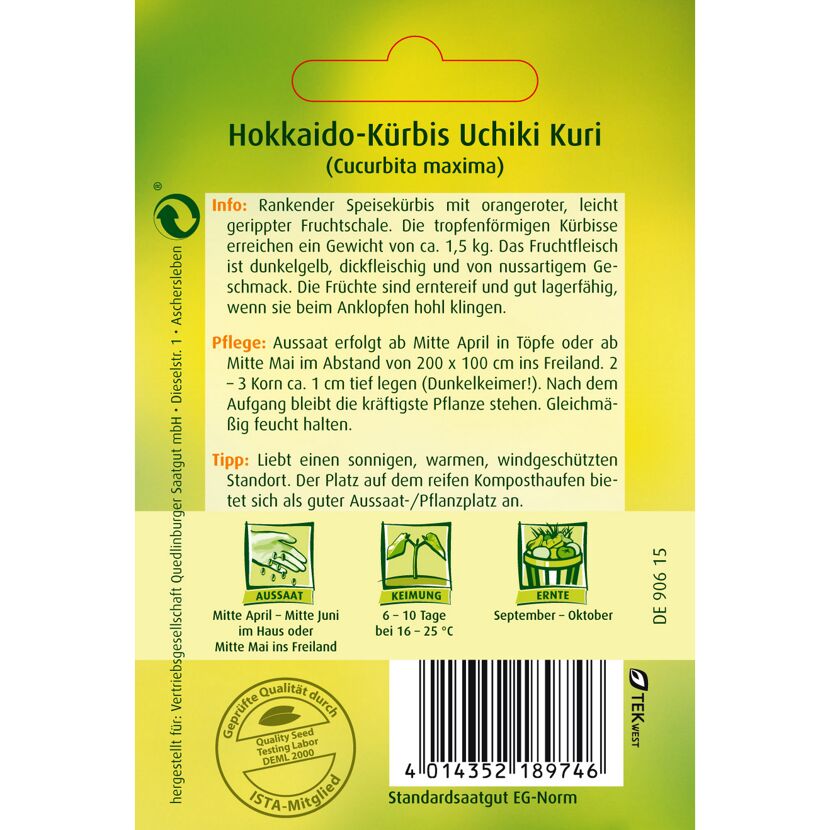 Hokkaido-Kürbis Uchiki Kuri Samen