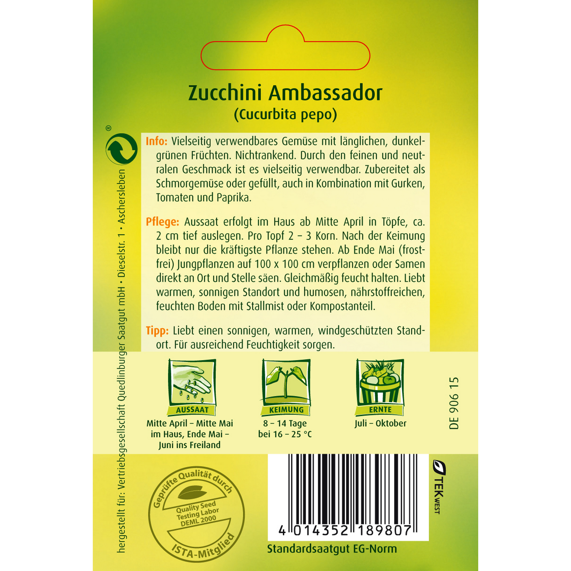 Zucchini 'Ambassador' + product picture