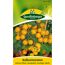 Balkontomaten Balconi Yellow, kompakt, buschiger Wuchs