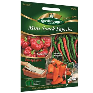 Mini Snack Paprika Saatplatte Mischung