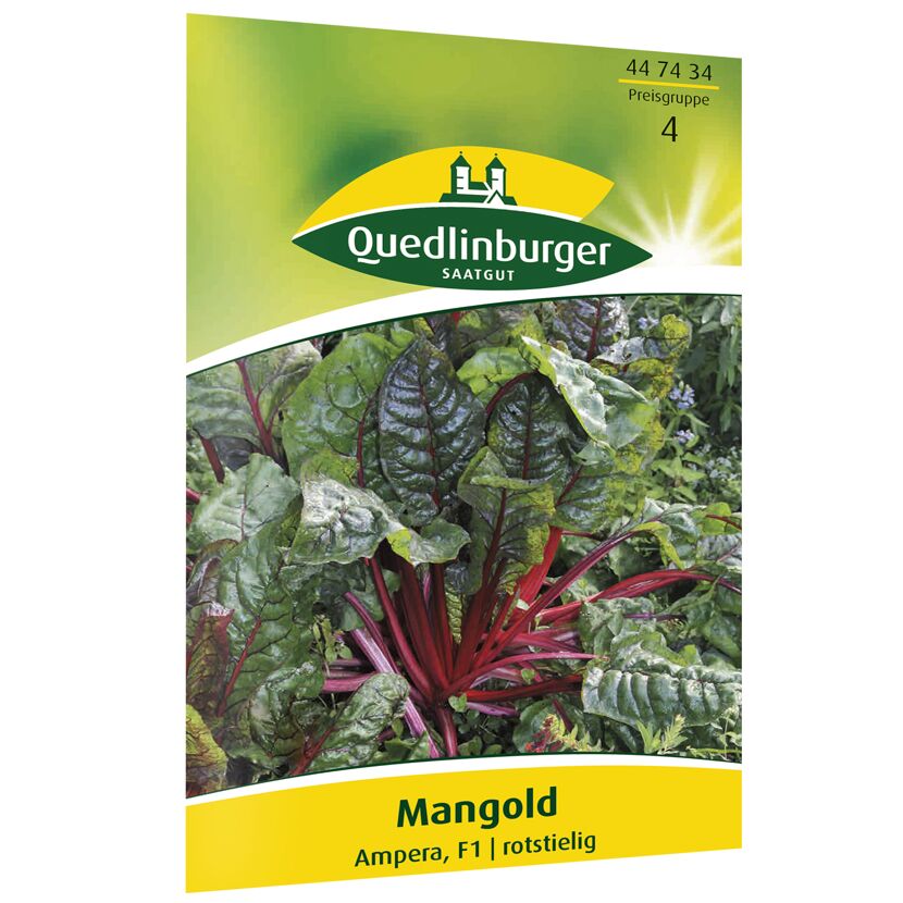 Mangold Ampera, F1 rotstielig