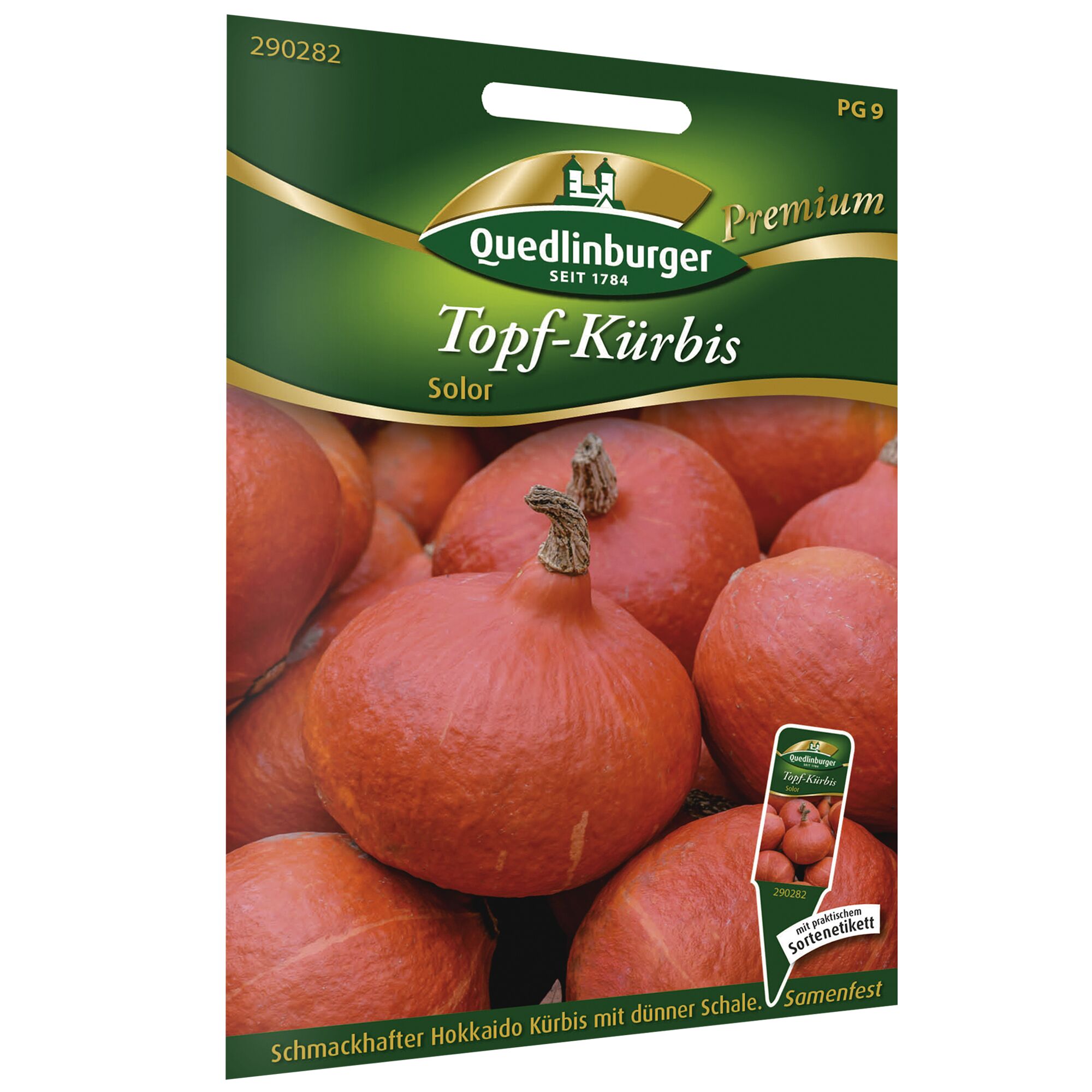 Quedlinburger Topf-Kürbis Solor