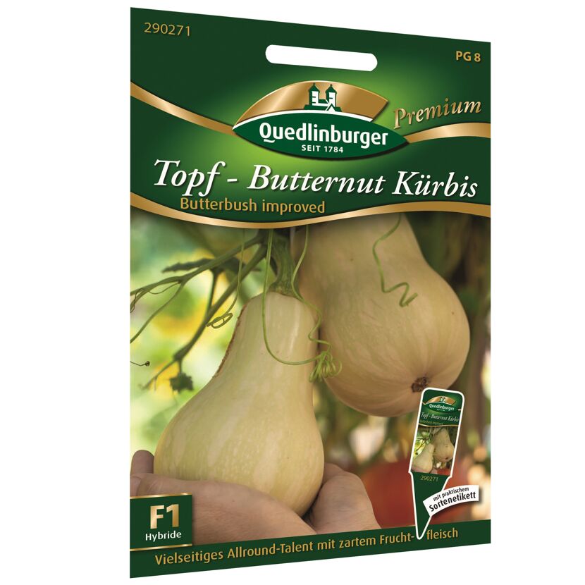 Butternut Kürbis in Händen vor grünem Hintergrund