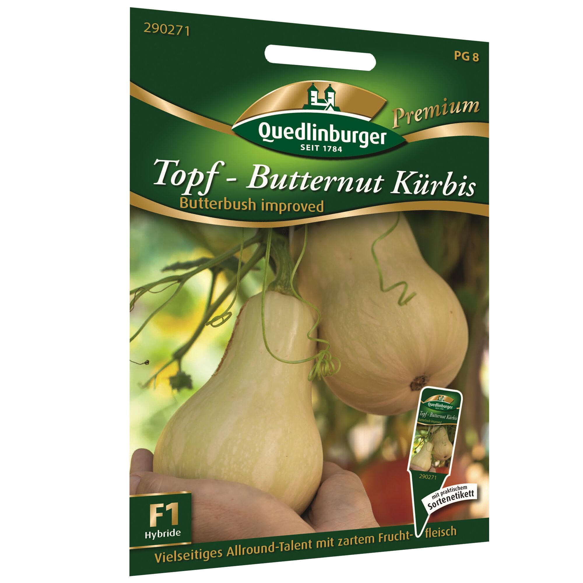 Butternut Kürbis in Händen vor grünem Hintergrund