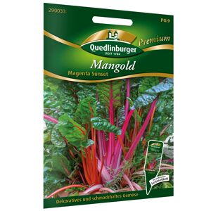 Mangold 'Magenta Sunset'