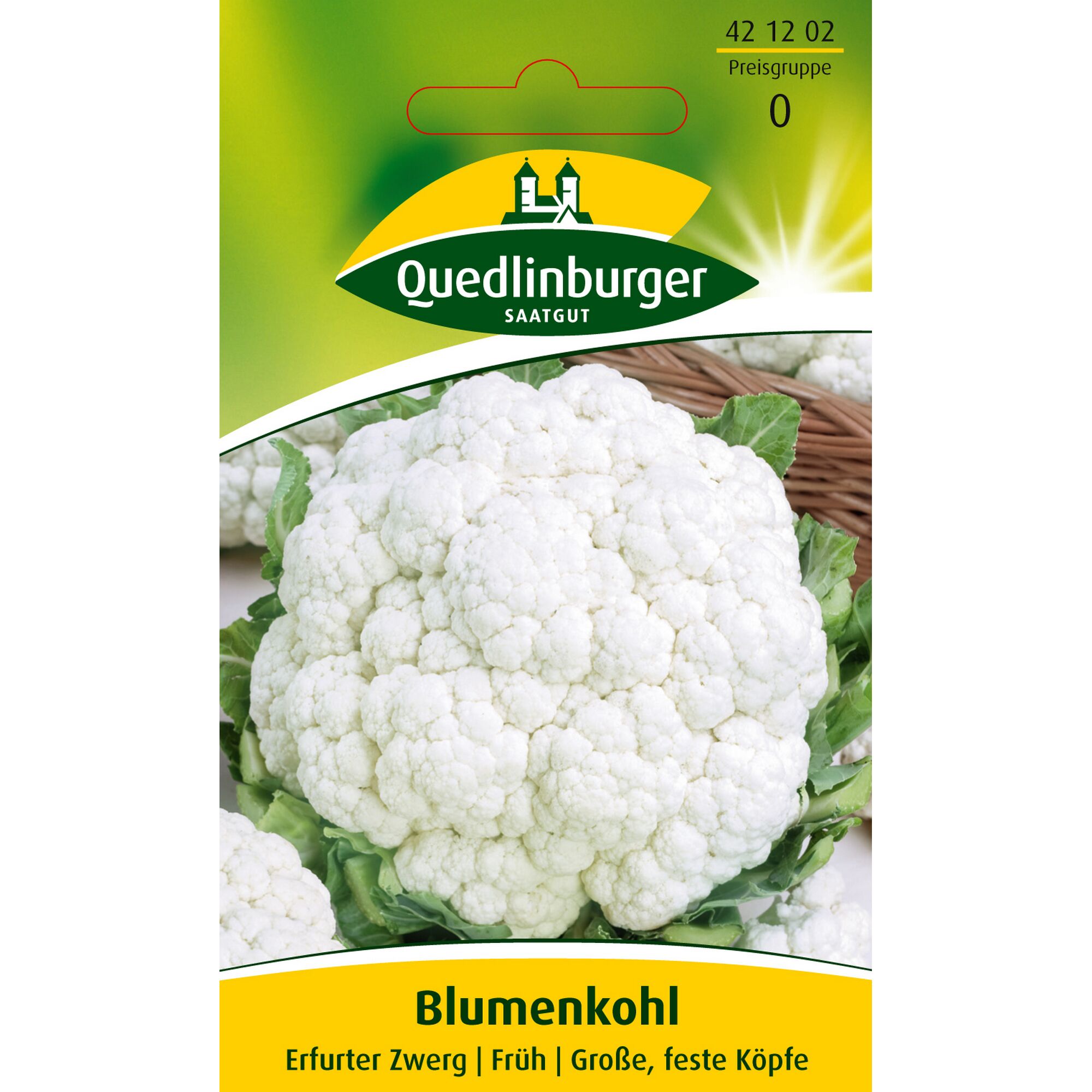 Samen Blumenkohl Erfurter Zwerg