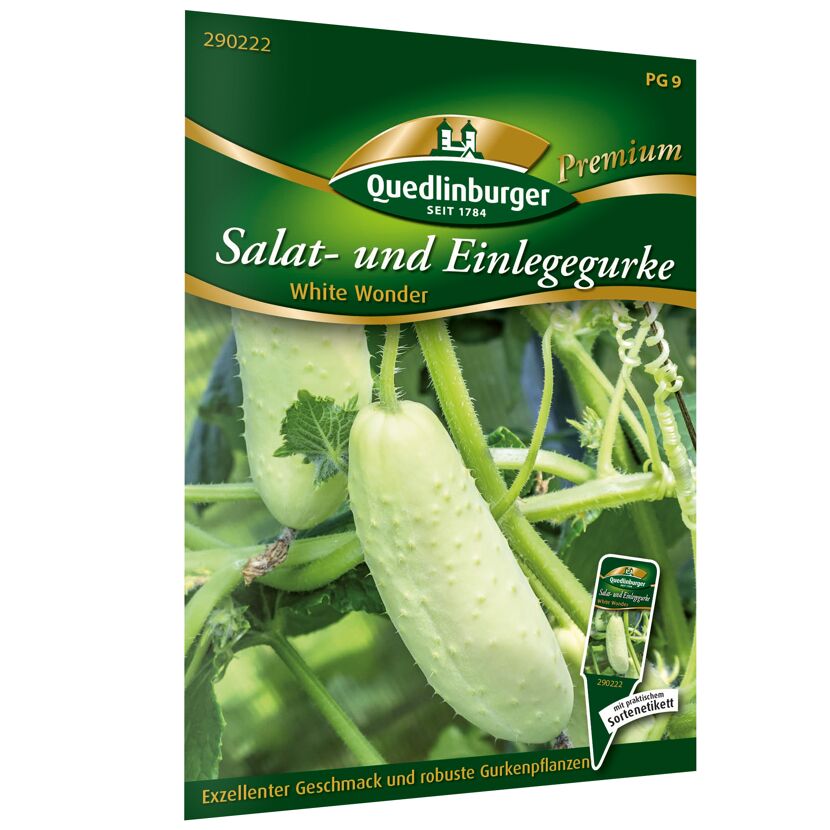 Weiße Salat- und Einlegegurke White Wonder