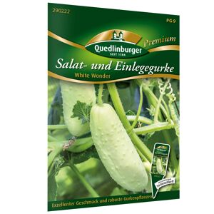 Salat- und Einlegegurke 'White Wonder'