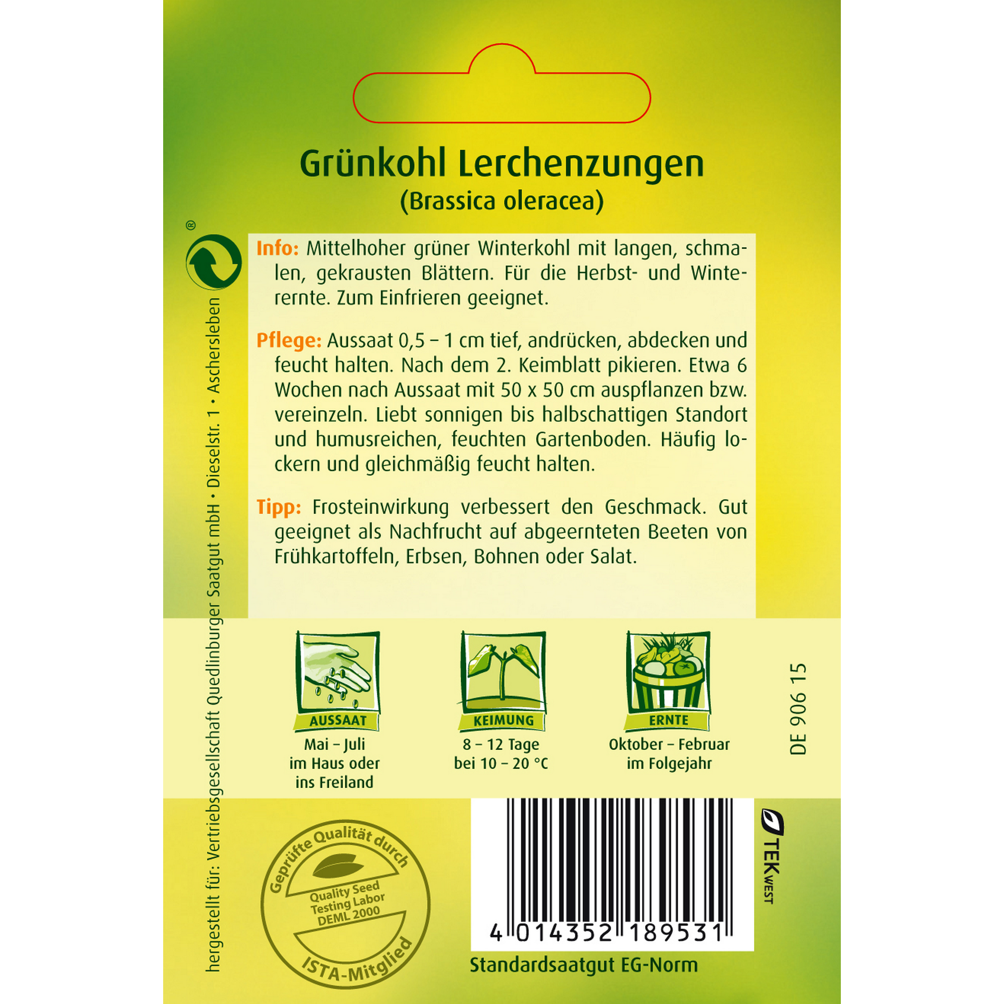 Grünkohl 'Lerchenzungen' + product picture