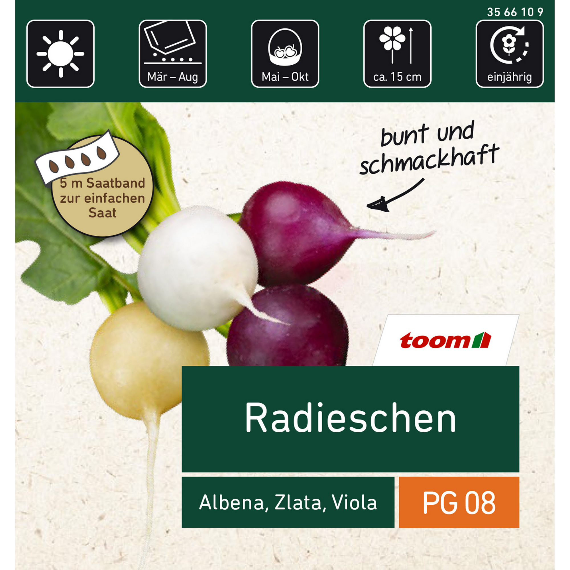 Radieschen, 3 Sorten Albena, Zlata, Viola Saatband 5 m, 3x1,67 m (max. 80x85 mm), Korn/m = 101 + product picture