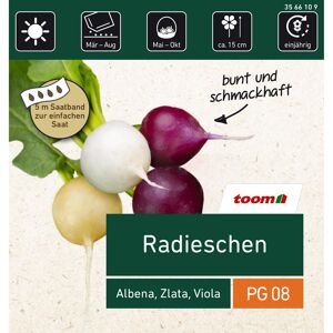 Radieschen, 3 Sorten Albena, Zlata, Viola Saatband 5 m, 3x1,67 m (max. 80x85 mm), Korn/m = 101