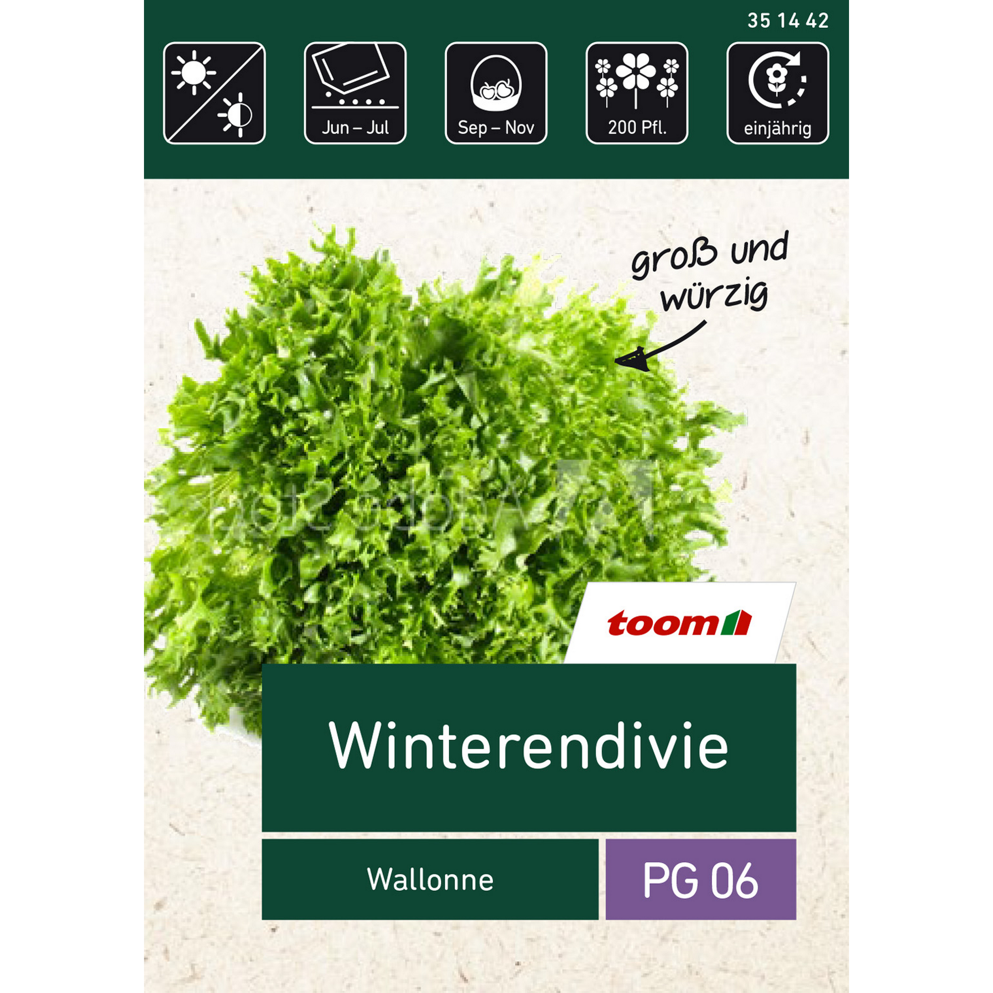 Winterendivie Wallonne + product picture