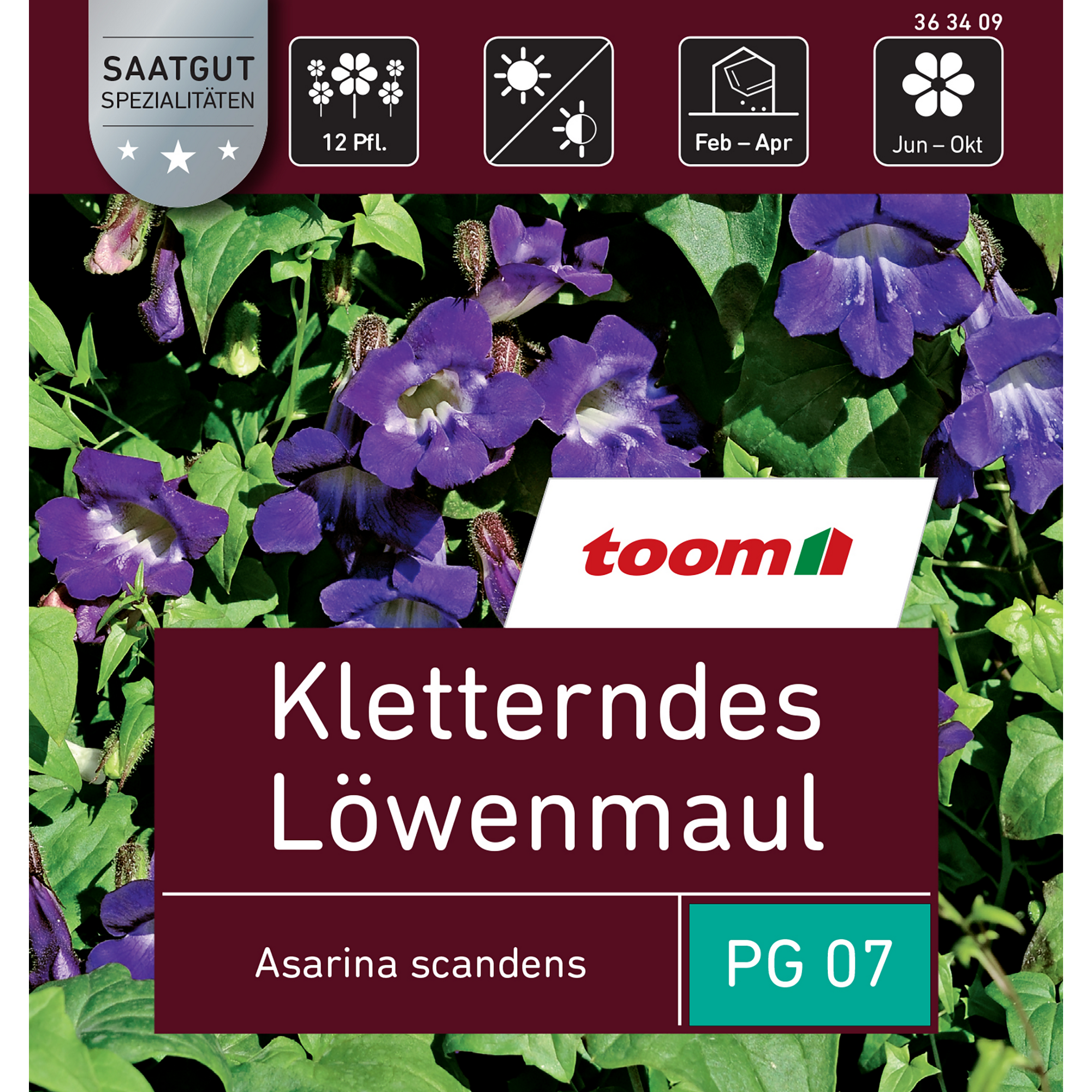 Kletterndes Löwenmaul + product picture