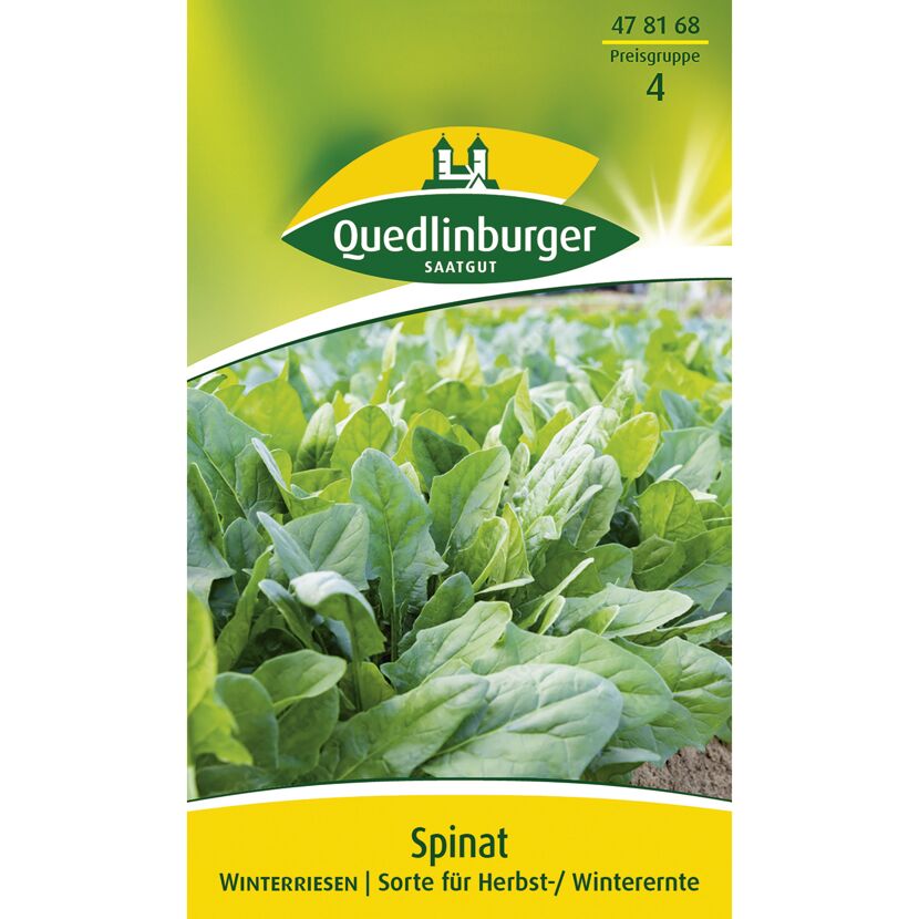 Spinat 'Winterriesen'