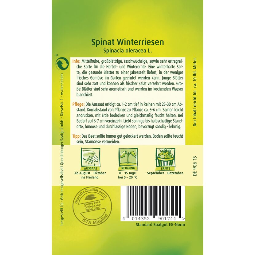 Spinat 'Winterriesen'