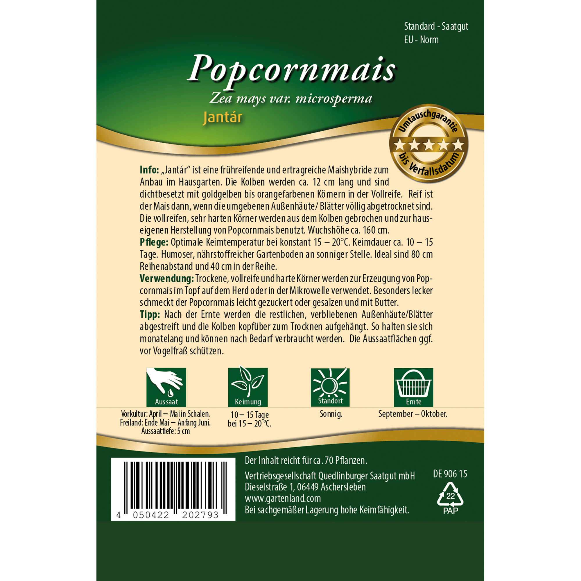 Popcornmais 'Jantar'