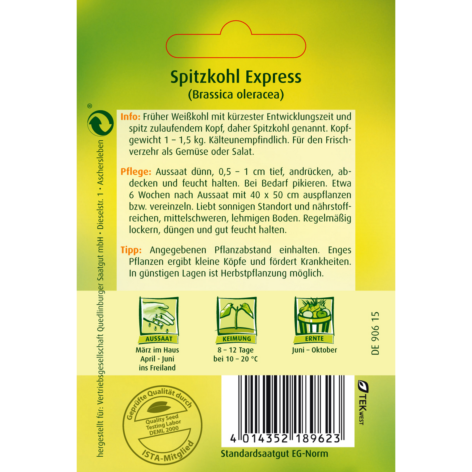 Spitzkohl 'Express' + product picture