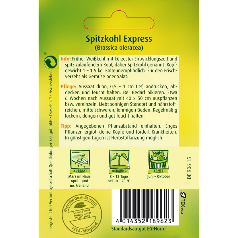 Spitzkohl Express, Aussaat, Keimung, Ernte
