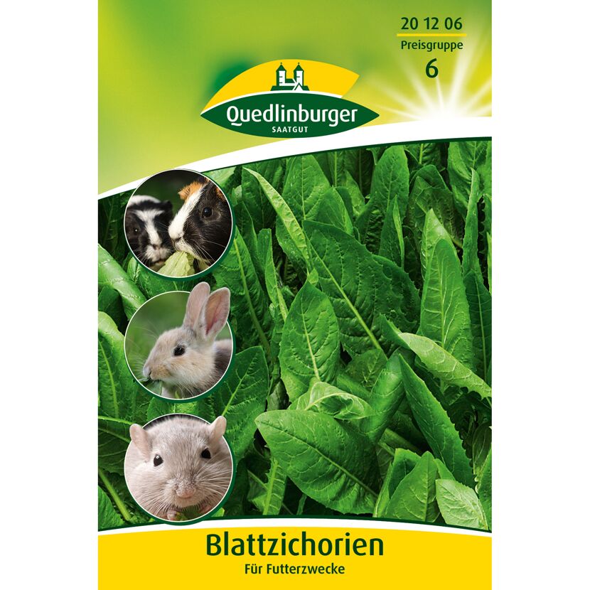 Blattzichorien für Futterzwecke