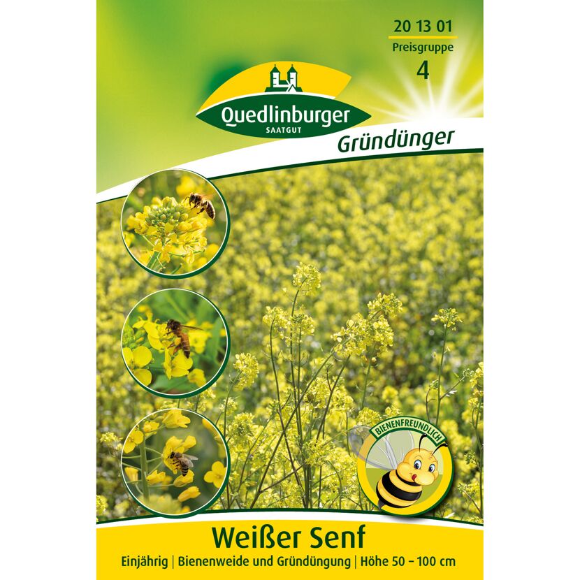 Weißer Senf