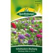 hauptbild