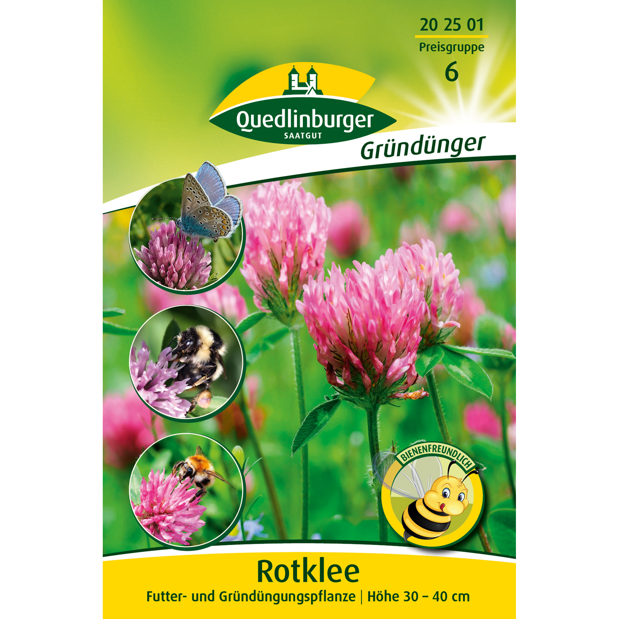 hauptbild