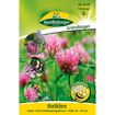 hauptbild