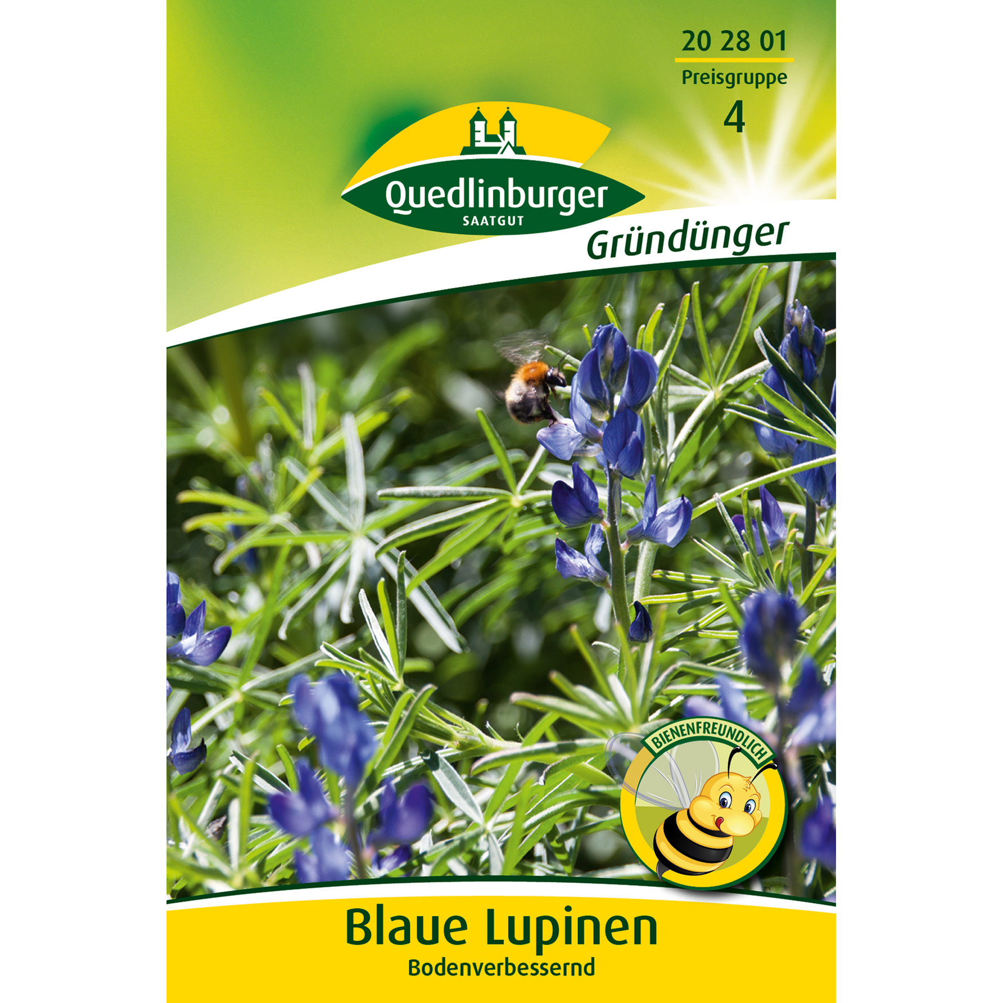 Blaue Lupinen