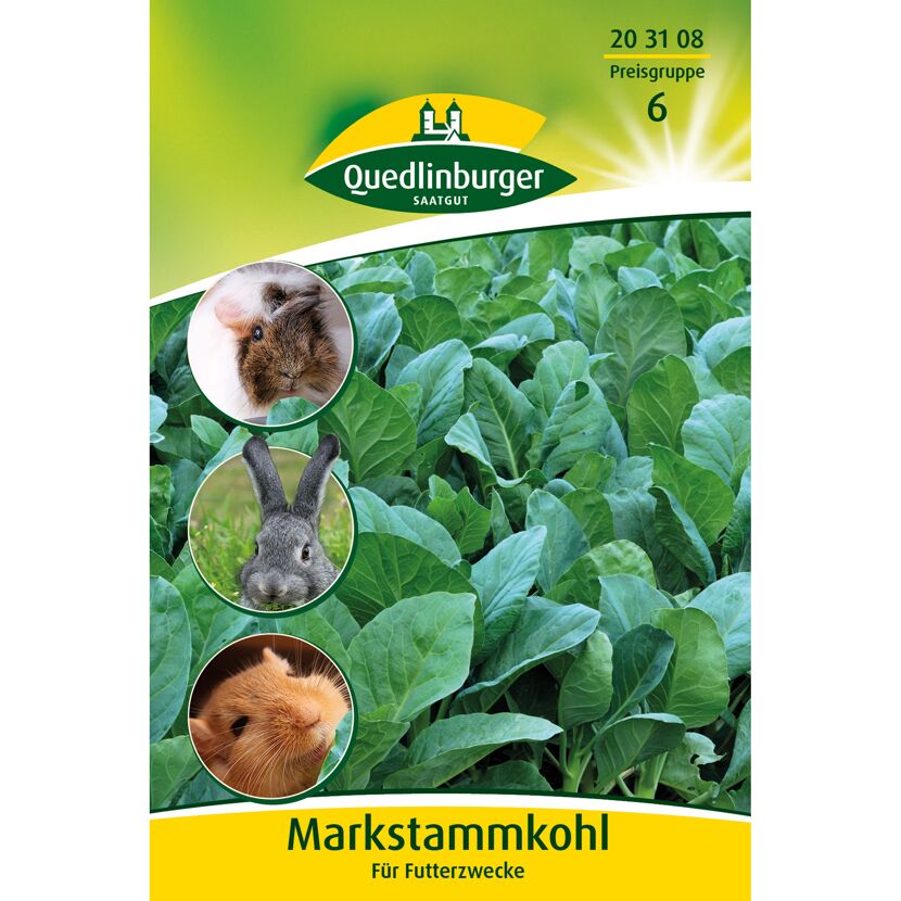 Markstammkohl für Futterzwecke