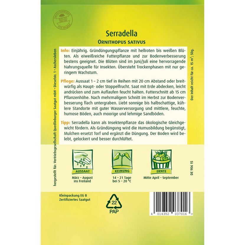Serradella Gründünger