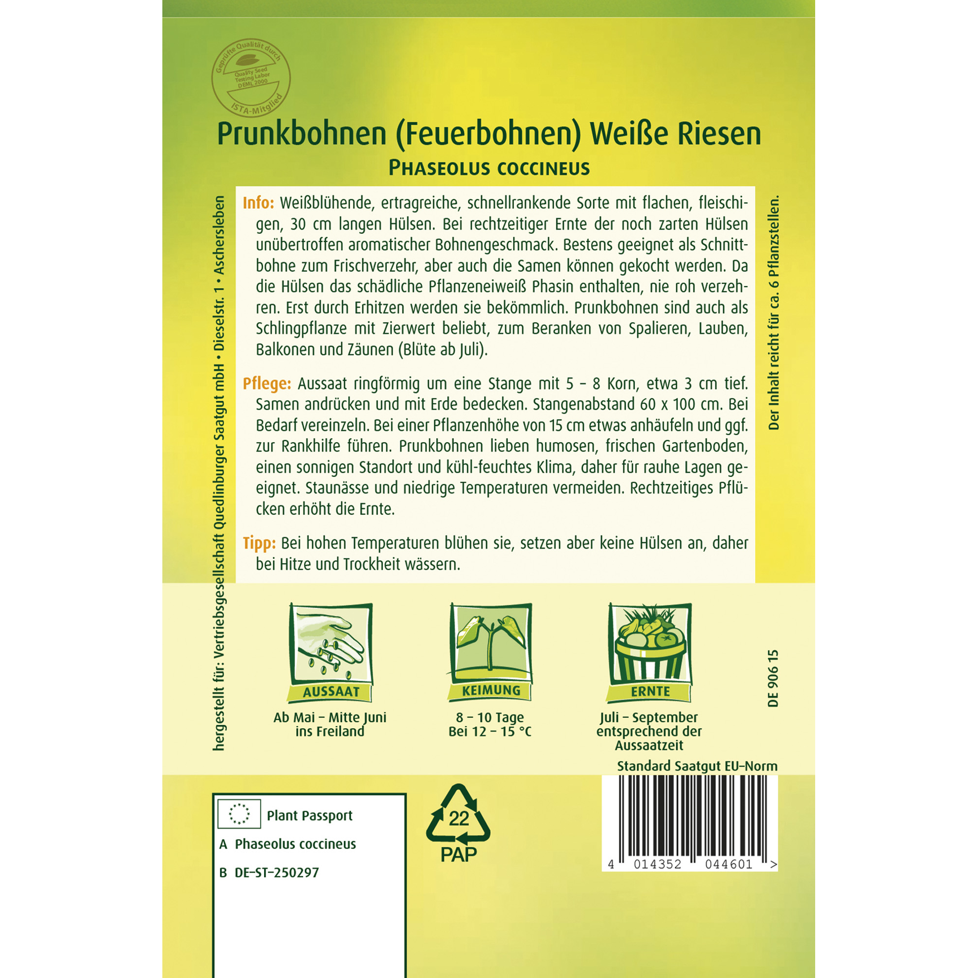 Prunkbohnen 'Weiße Riesen'