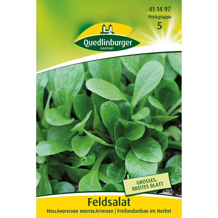 Feldsalat 'Holländischer Breitblättriger'