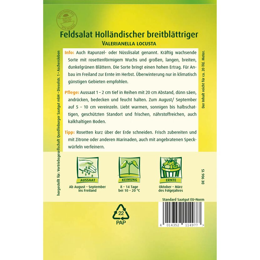 Feldsalat 'Holländischer Breitblättriger'