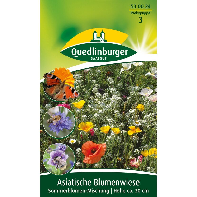 Asiatische Blumenwiese