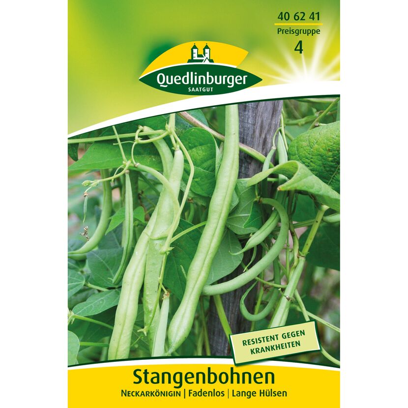 Stangenbohnen 'Neckarkönigin'
