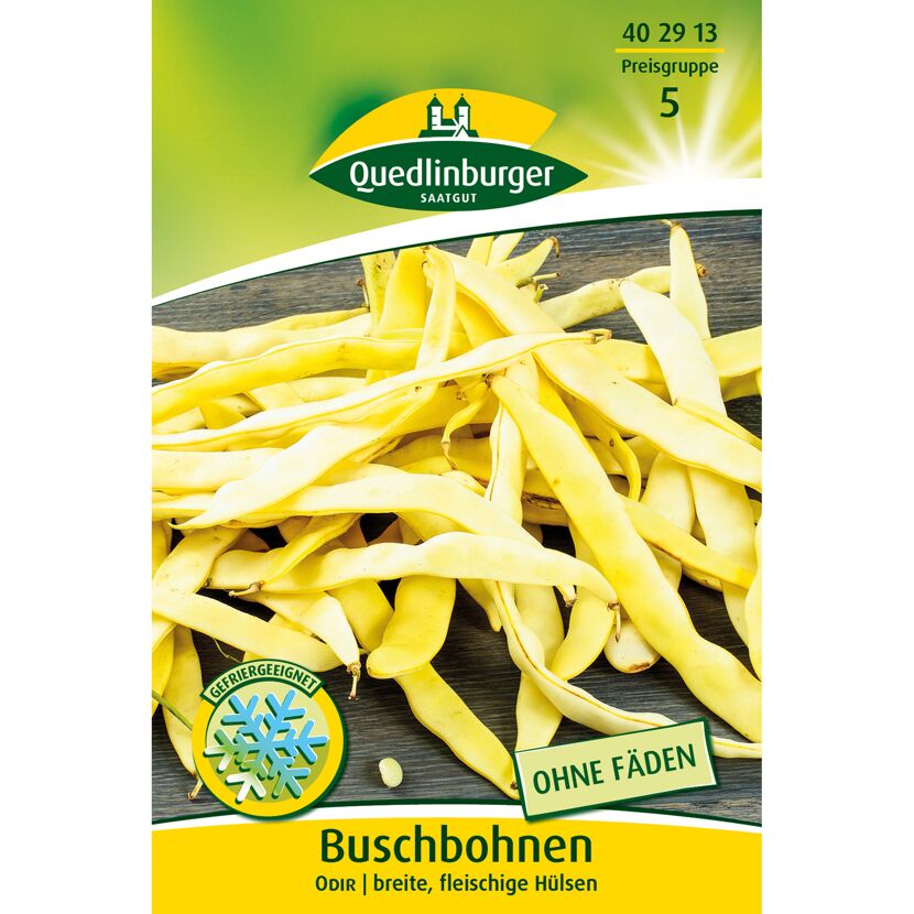 Buschbohnen 'Odir'